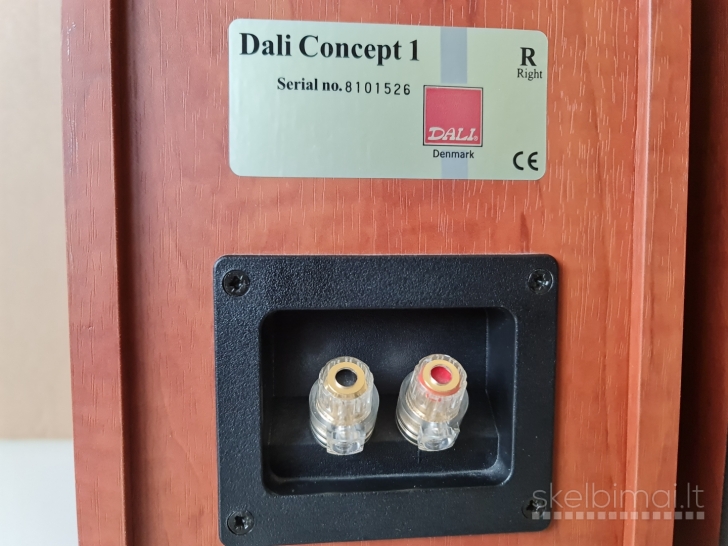 Dali Concept 1