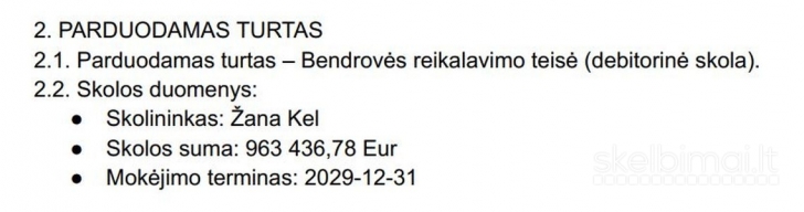 Buab „Integre property“ reikalavimo teisė į asmenį