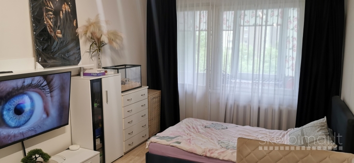 Dviejų kambarių butas Panevėžio m.