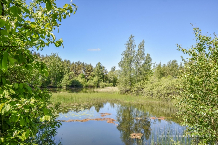 Sodyba 8,5 ha sklype šalia vandens telkinio
