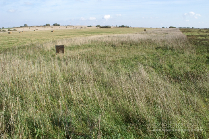 0.58 ha sklypas Klaipėdos r. Dovilų mstl. Grambaviškių g