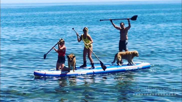 SUP Didžiulė 518x152x20 irklente!