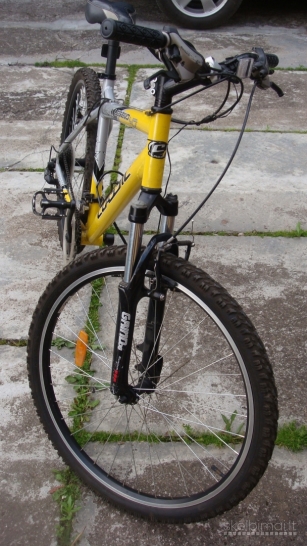 Dviratis