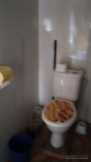 Parduodama sodyba