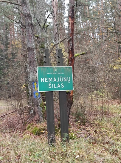 Birštono sav., Nemuno kilpų reg. parkas, Nemajūnai Šilėnai, sodas miške