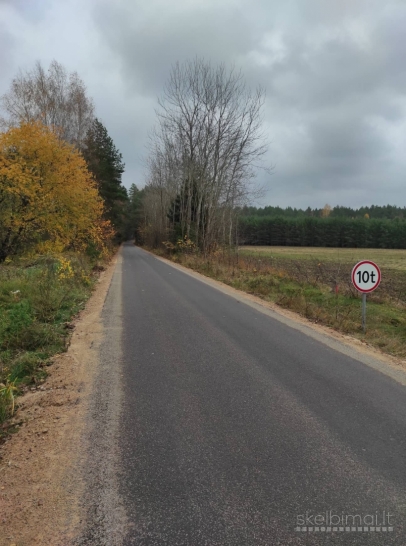 Birštono sav., Nemuno kilpų reg. parkas, Nemajūnai Šilėnai, sodas miške