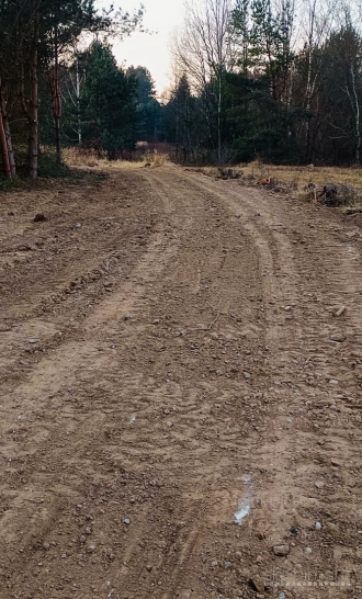 Birštono sav., Nemuno kilpų reg. parkas, Nemajūnai Šilėnai, sodas miške