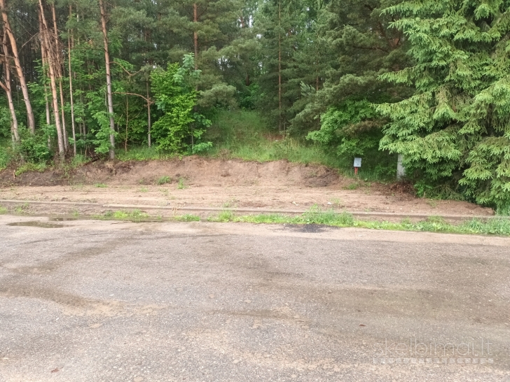 Aikštelės nuoma