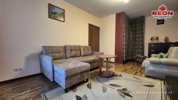 NUOMOJAMAS JAUKUS IR GERAI ĮRENGTAS 1 KAMBARIO BUTAS RATNYČIOS G.!