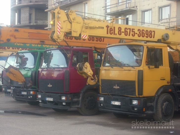 REKALINGAS AUTOKRANININKAS , AUTOKRANO MAŠINISTAS