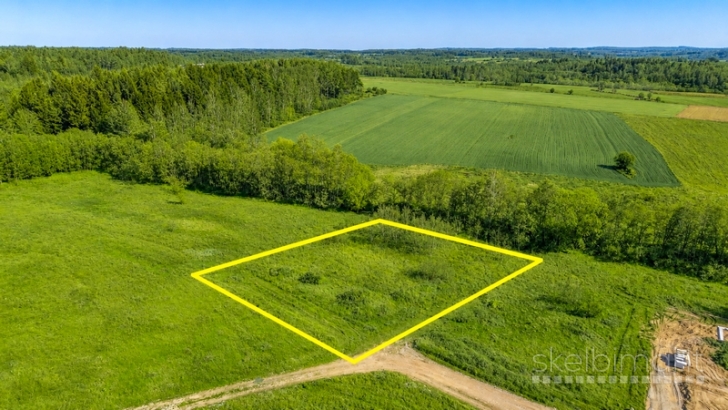 Vilniaus r. sav., Parapijoniškių k., Panoramos g., namu valdos sklypas