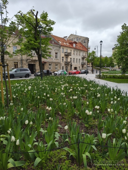 Vilnius, Senamiestis, Arklių g.