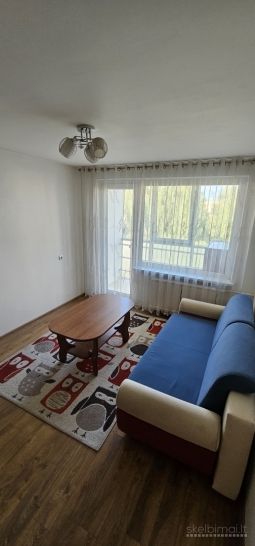 2-jų kambarių butas
