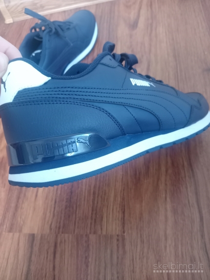 Nauji puma