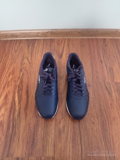 Nauji puma