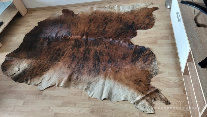 Natūralios kupranugario odos kilimas