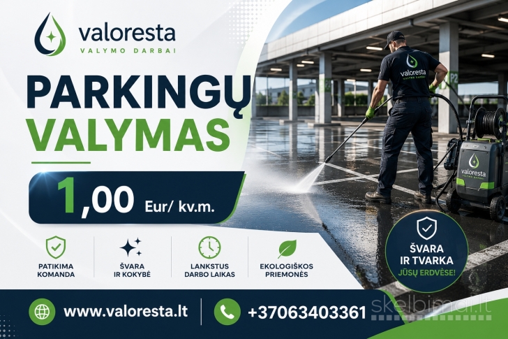 Profesionalūs valymo darbai 