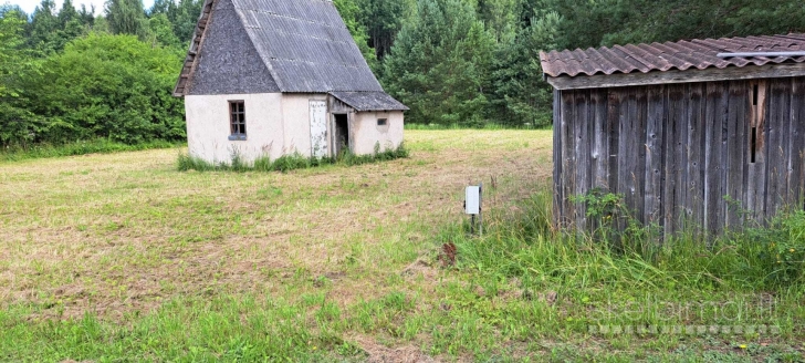 Parduodamas 11,33 a sodo sklypas Sb „Pušynas“, prie miško, su elektra