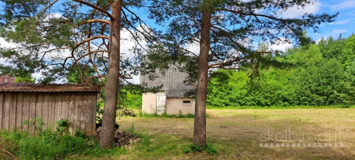 Parduodamas 11,33 a sodo sklypas Sb „Pušynas“, prie miško, su elektra