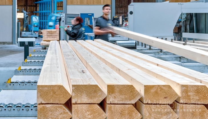 Reikalingi darbuotojai prie medinių durų gamybos Olandijoje fabrike,nuo 17-o8