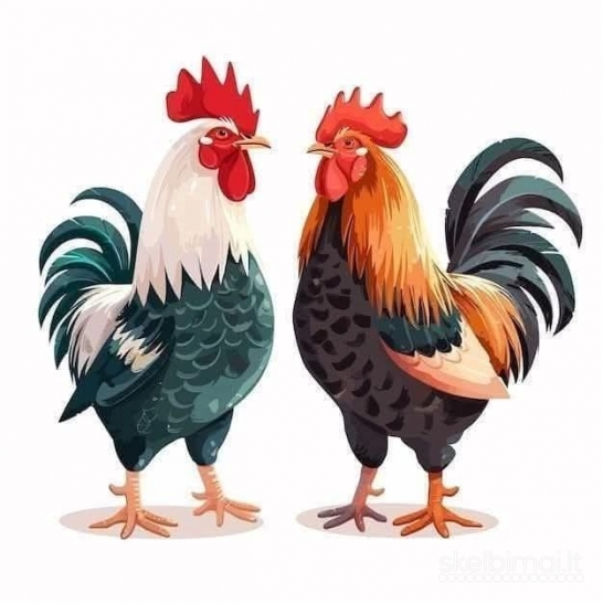 Paskanausiu tavo jogurtu, a.lietučiu, net šokoladu...
