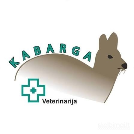 Kviečiame prisijungti veterinarijos gydytoją!