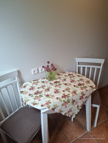 Išnuomojamas 1 k. butas Baltijos pr.