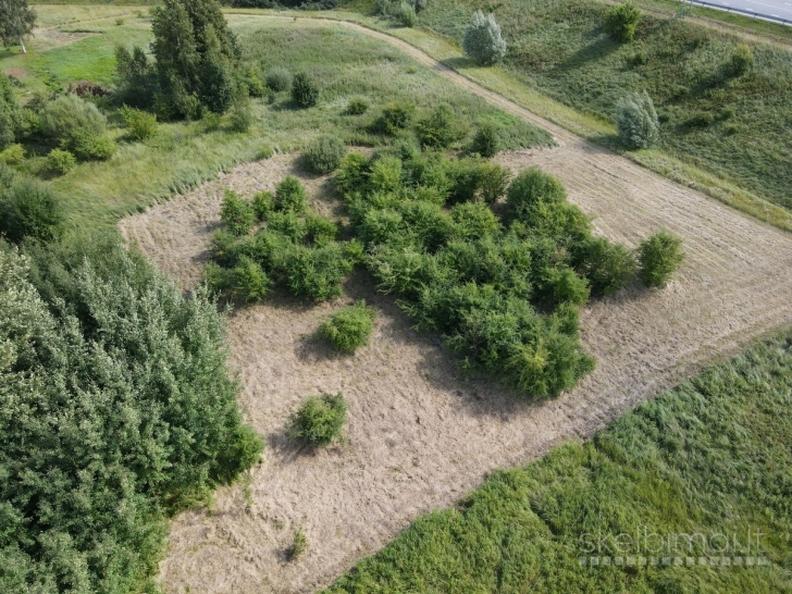 Parduodamas labai pigiai 36,98 a žemės sklypas šalia Šiaulių aplinkelio
