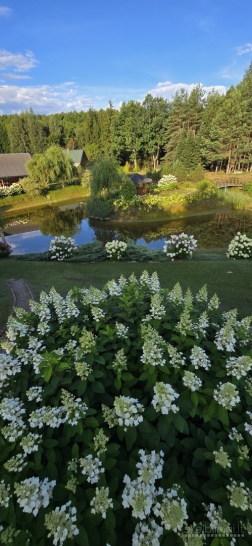 Kambariu Pirties Kubilo / Jacuzzi / Dziakuzi Nuoma