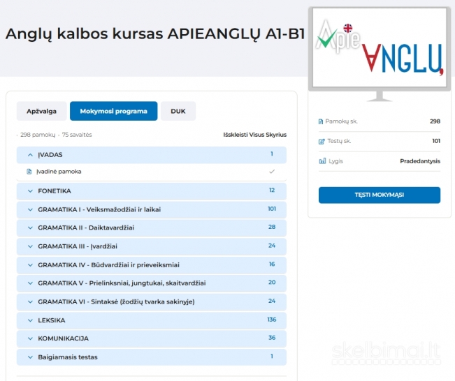 Išmok ANGLŲ kalbą per 100 pamokų!