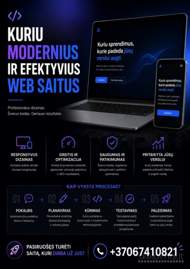 Profesionalus interneto svetainių kūrimas