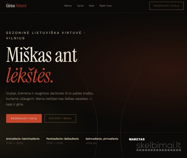 Profesionalus interneto svetainių kūrimas