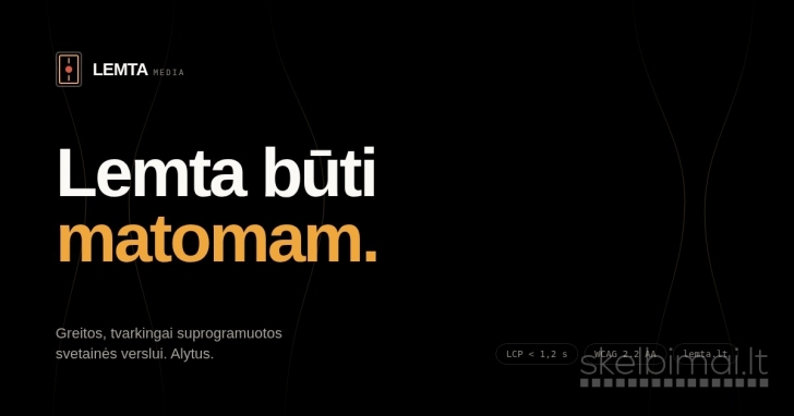 Profesionalus interneto svetainių kūrimas