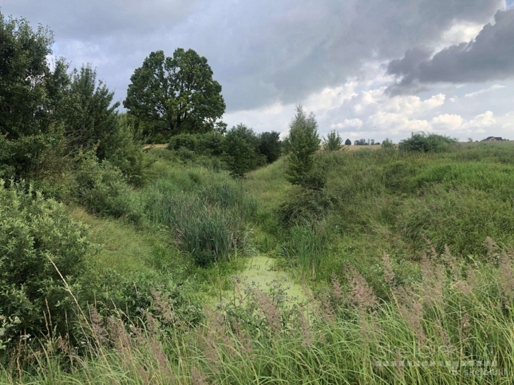 45 arų sklypas prie upelio Kaišiadorių r.