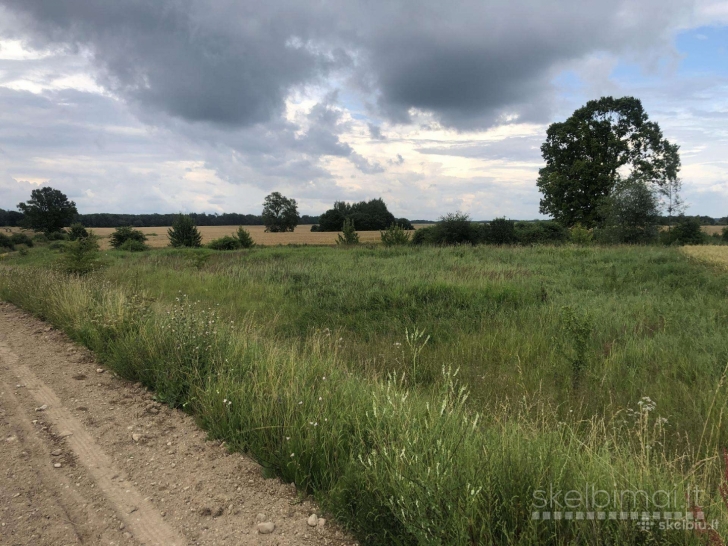 45 arų sklypas prie upelio Kaišiadorių r.