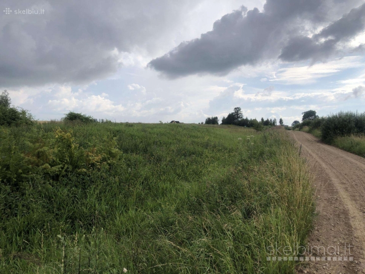 45 arų sklypas prie upelio Kaišiadorių r.