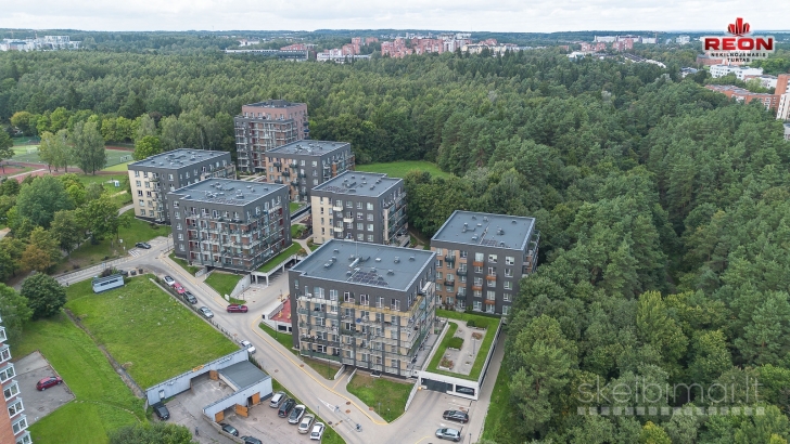 KOKYBIŠKAI ĮRENGTAS 3 KAMBARIŲ BUTAS DIDLAUKIO G. 