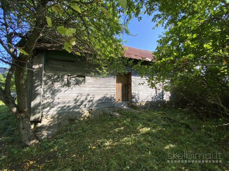 Sodyba su 1,75 ha žemės