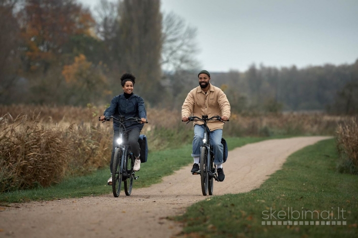 Giant Entour E+ 3 Low Step Through Electric Hybrid Bike - 2021