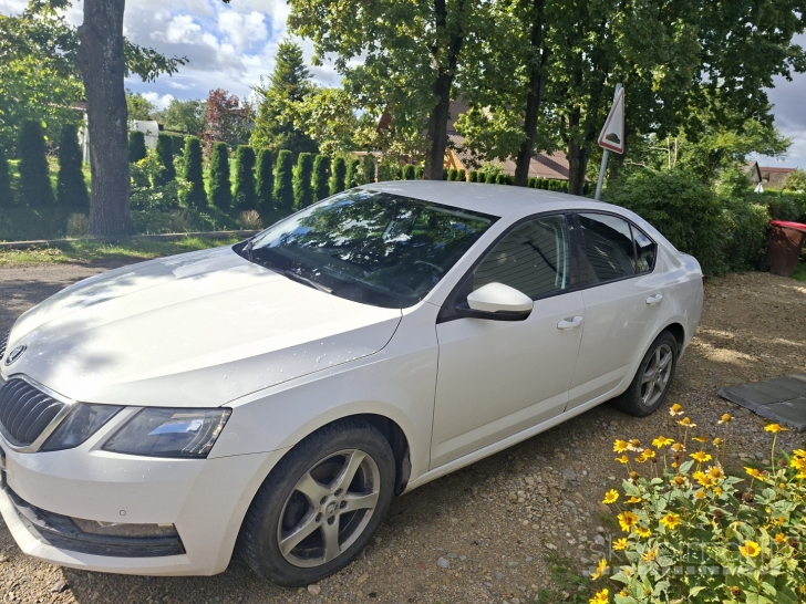 ekonomiskas puikiai vaziujantis auto