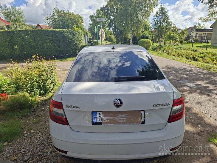 ekonomiskas puikiai vaziujantis auto