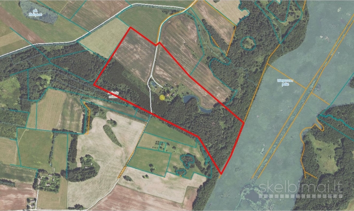 Parduodamas didelis 20,4 ha žemės sklypas su mišku Kupiškio rajone