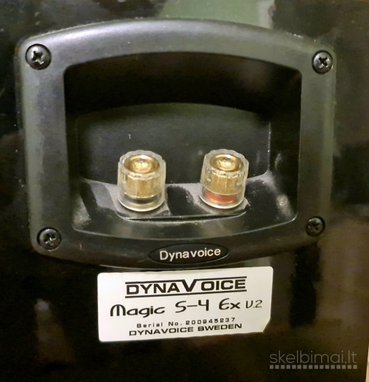 Dynavoice S4