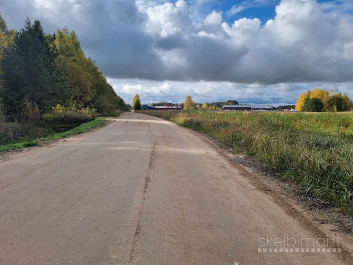 PARDUODAMI KOMERCINĖS PASKIRTIES 30 A ŽEMĖS SKLYPAS REIVYČIŲ K., MAŽEIKIŲ R.