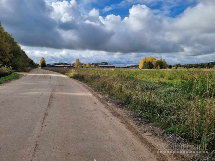 PARDUODAMI KOMERCINĖS PASKIRTIES 30 A ŽEMĖS SKLYPAS REIVYČIŲ K., MAŽEIKIŲ R.