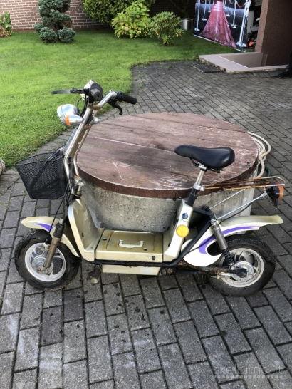  ELEKTRINIS MOTOROLERIS 