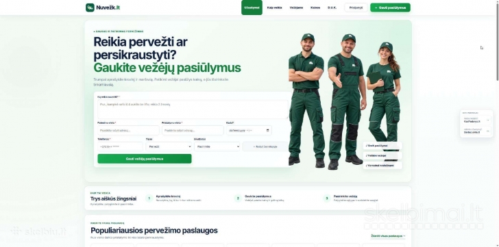 Parduodamos svetainės, IT projektai
