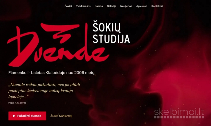 Sukursiu verslo svetainę su užklausų forma