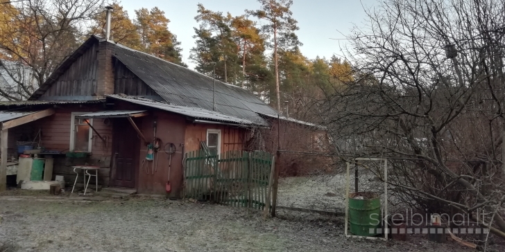 2 k. 58 m2 butas su patogumais mediniame name pušyne, A. Paneriai