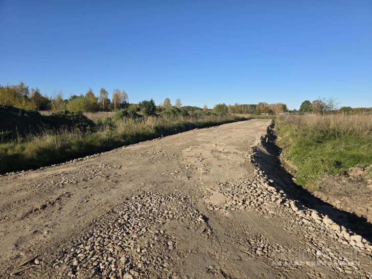 PARDUODAMI ŽEMĖS SKLYPAI MAŽEIKIŲ R., REIVYČIŲ K., FALSBERGO G. 5